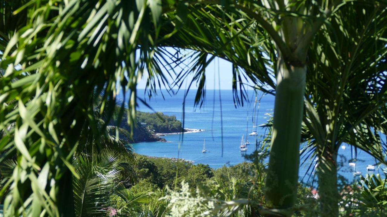 O Coeur De Deshaies Appartements Grande Anse Et Amandiers Luaran gambar
