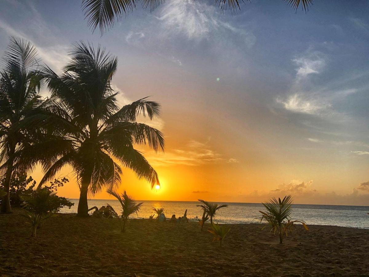 O Coeur De Deshaies Appartements Grande Anse Et Amandiers Luaran gambar