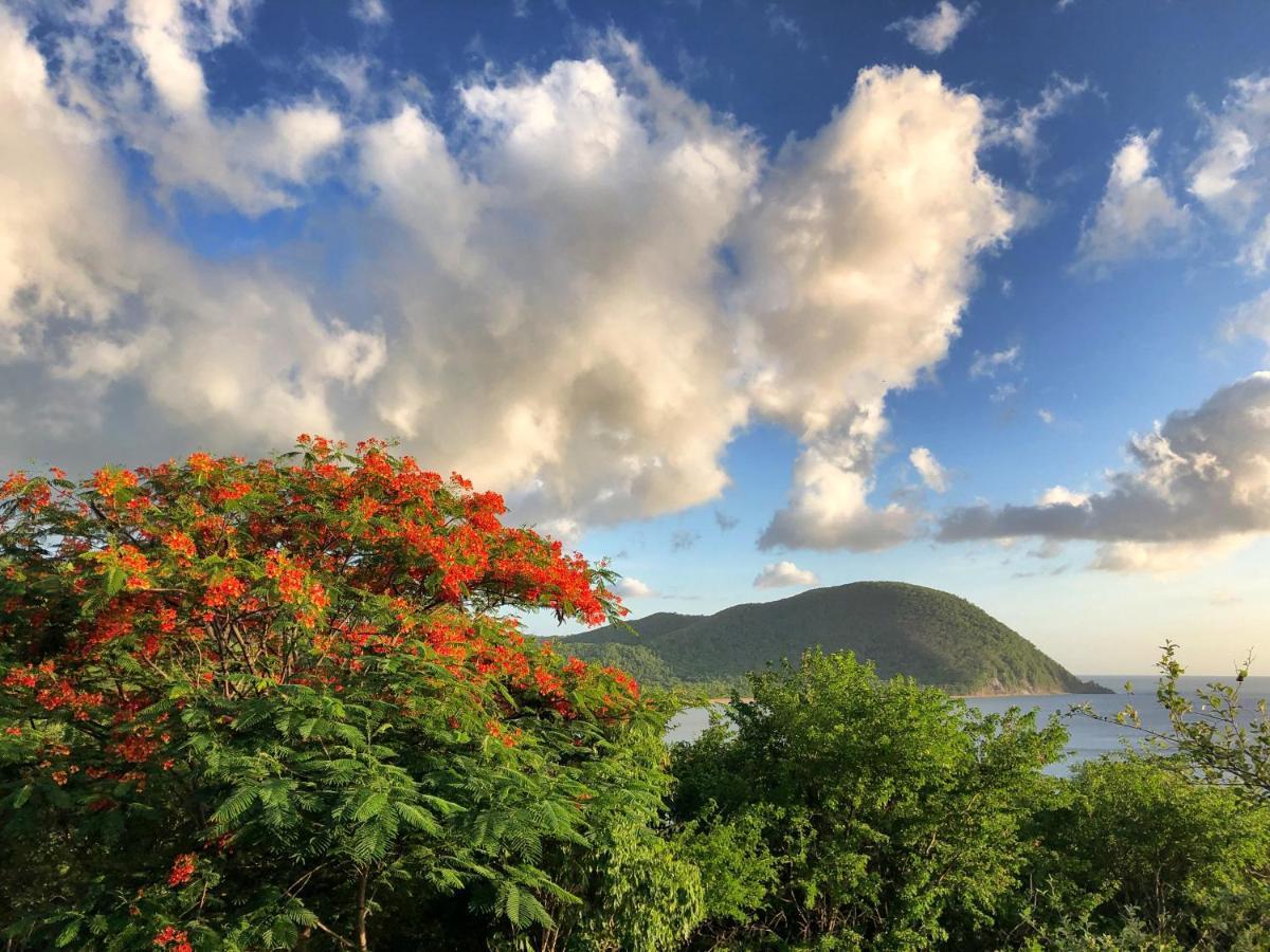 O Coeur De Deshaies Appartements Grande Anse Et Amandiers Luaran gambar