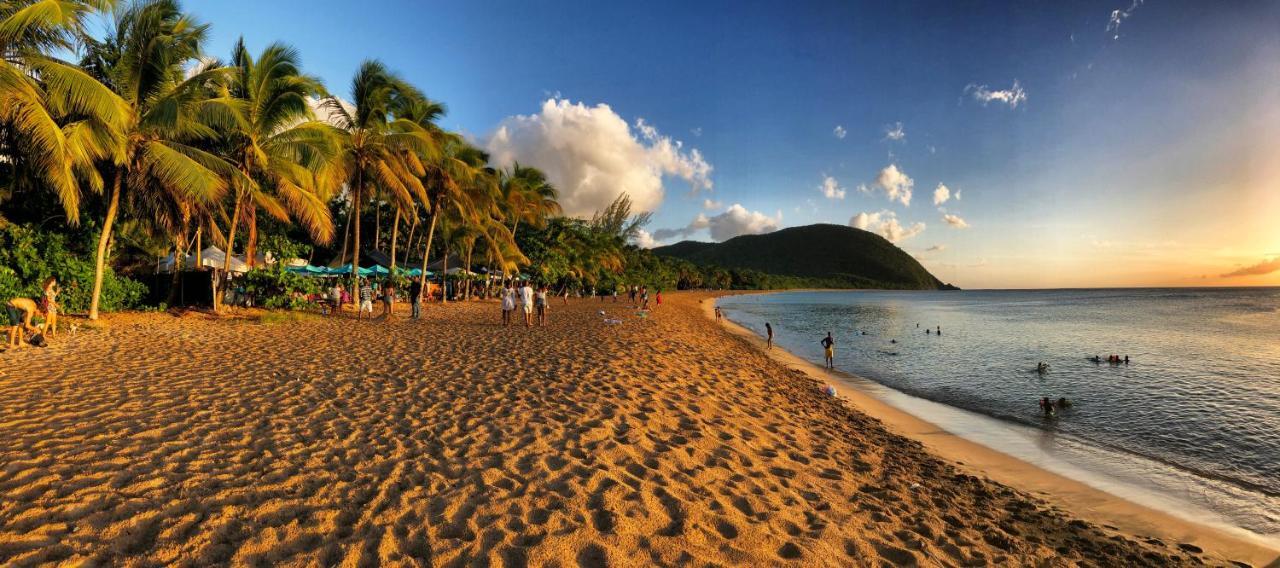 O Coeur De Deshaies Appartements Grande Anse Et Amandiers Luaran gambar